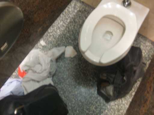 I can't believe this immodest, naked toilet.