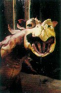 ''Mom! The dragon from Neverending Story is making fun of me!''