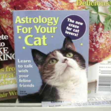The picture of the cat is more interested in the picture of meat.