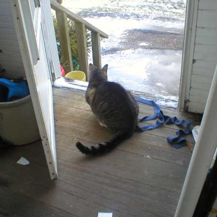 That ribbon looking thing is to keep the door closed because it HAS NO KNOB.