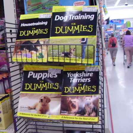 Notice that it isn't housetraining DOGS for dummies...