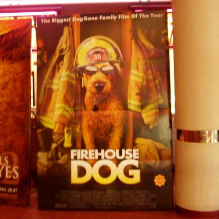 the picture is orange-tinted because this poster inspired me to set the place on fire.