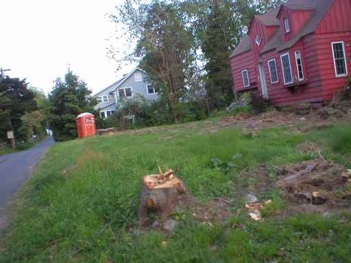 other than making the property look desirable, I mean.