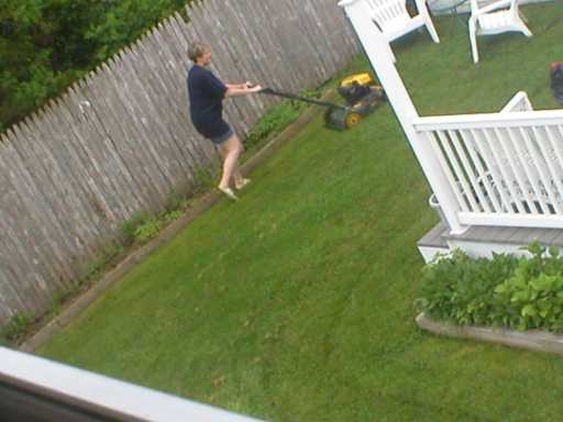 That FENCE will sure show those trees!