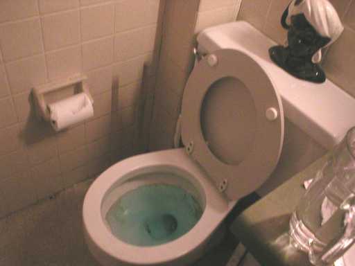 I officially have more pictures online of my toilets than my cats.