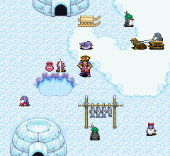 Hey, how'd that walrus get in here?