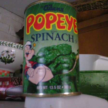 for some reason I doubt I'll ever be opening this can. for some reason I doubt I'll ever be opening this can.