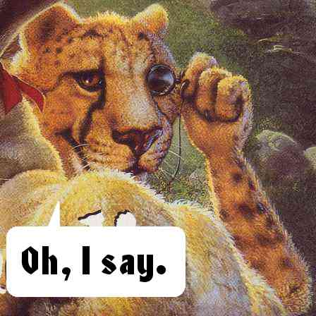 Gazelle? Oh no, dear boy, how vulgar. But I do fancy a good fox hunt every now and again.